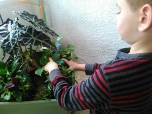 Build a Mini Minecraft Forest from Albuquerque Moms Blog