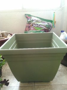 Build a Mini Minecraft Forest from Albuquerque Moms Blog