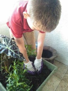 Build a Mini Minecraft Forest from Albuquerque Moms Blog