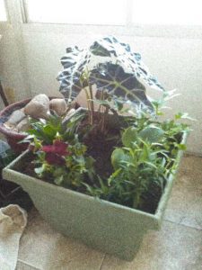 Build a Mini Minecraft Forest from Albuquerque Moms Blog