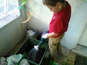 Build a Mini Minecraft Forest from Albuquerque Moms Blog