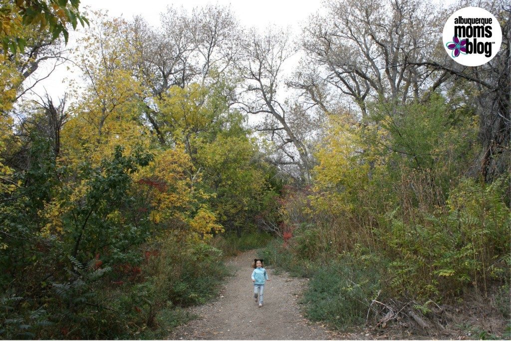 Trail Walks Albuquerque Moms Blog