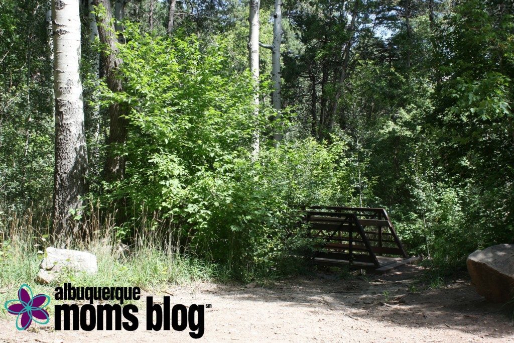 Trail Walks Albuquerque Moms Blog