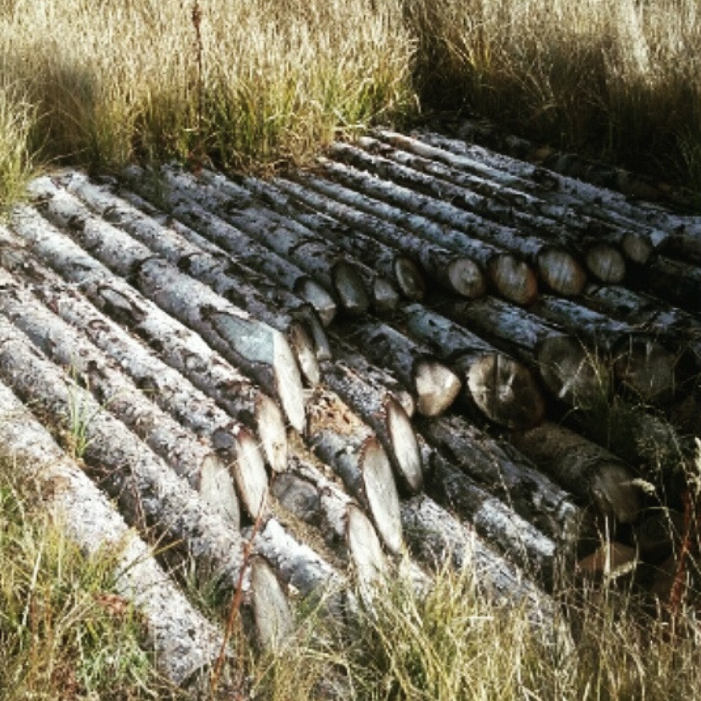 Keeping New Mexico Green: A Trip to Comanche Creek with Coca Cola Co. Albuquerque Moms Blog