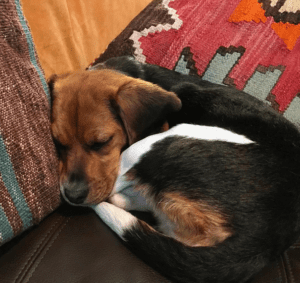 bad day ABQ Moms Blog