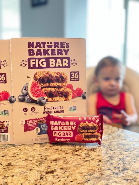 Fig Bars