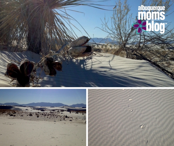 White Sands - ABQ Moms Blog