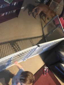 dog and baby with gate