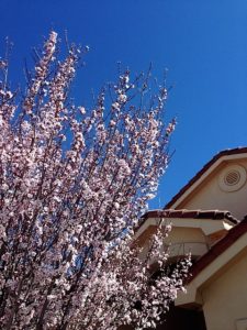 selling home albuquerque moms blog