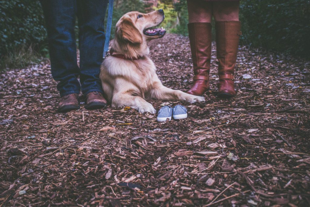 dogs and babies | Albuquerque Moms Blog