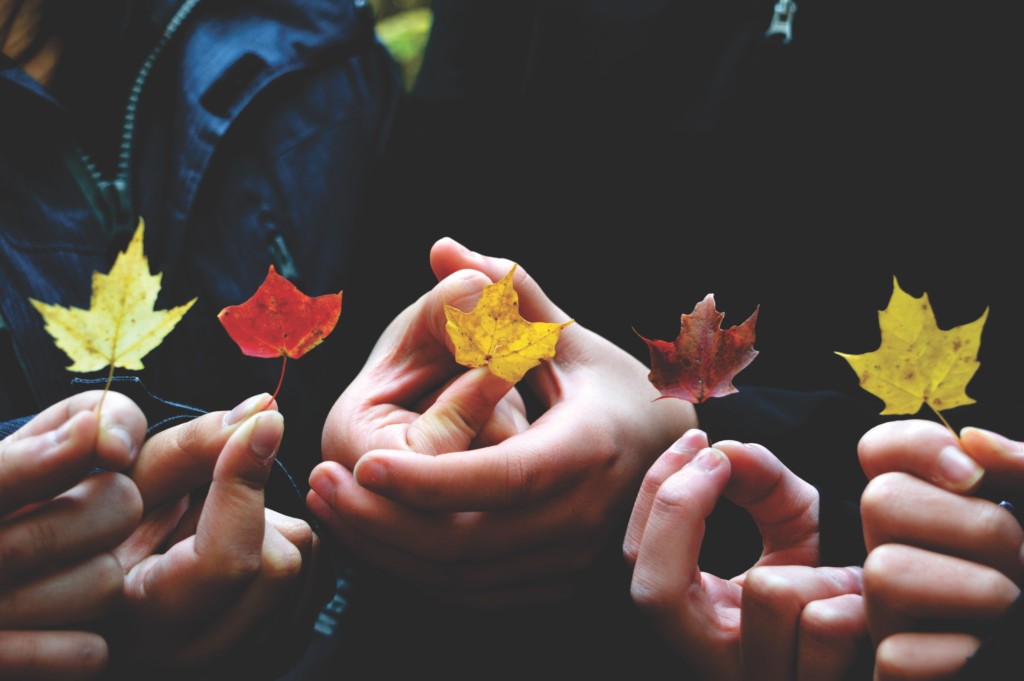 fall-playdates-albuquerque