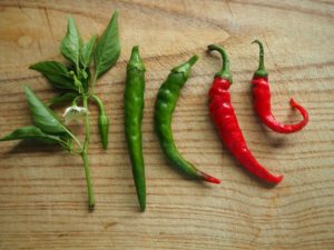 A Nostalgic Mom's Top 5 New Mexican Favorites from Albuquerque Moms Blog