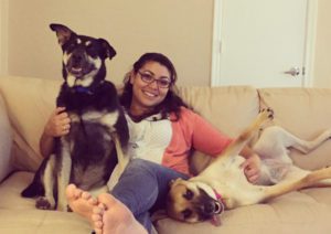 Pets