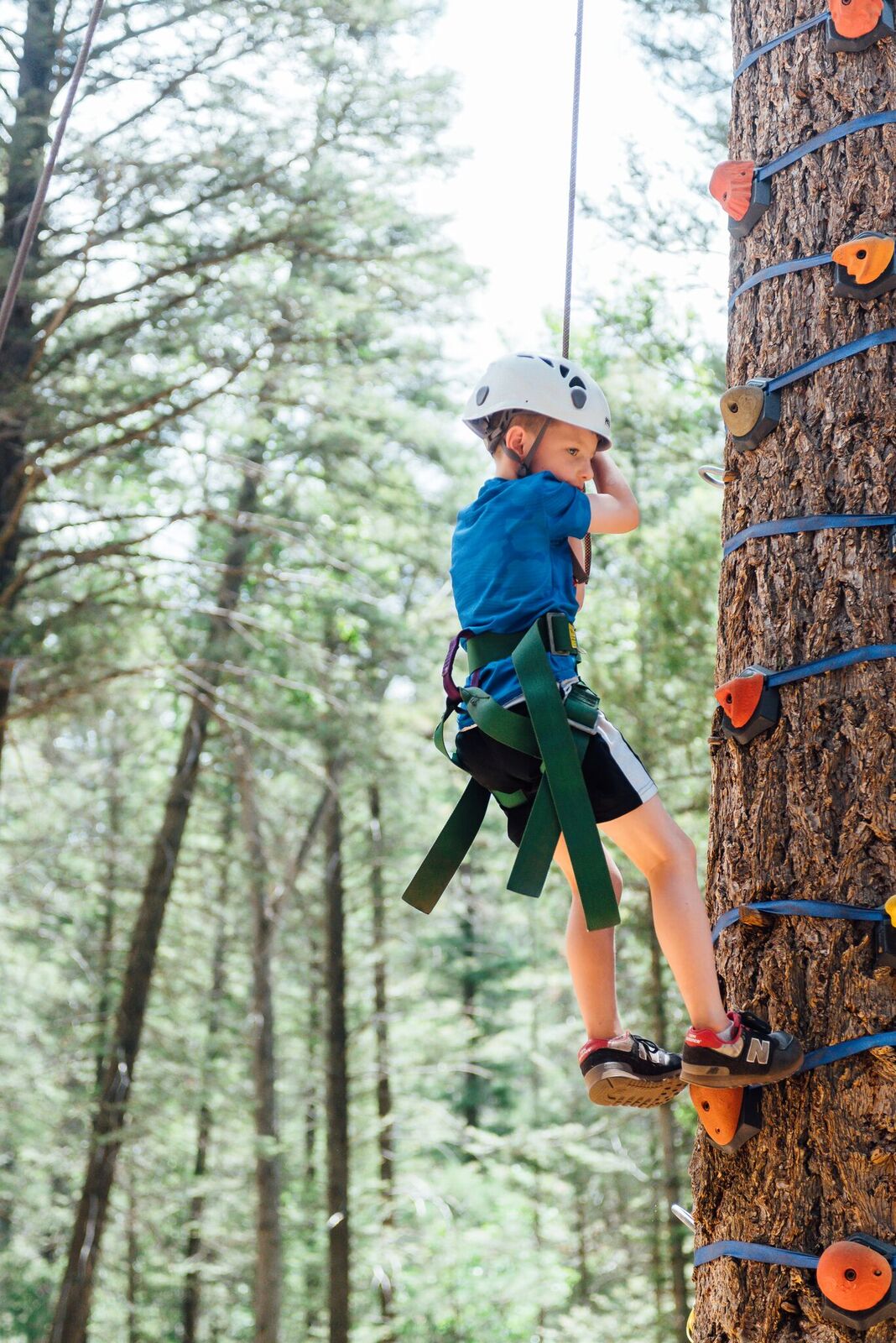 tree climbing Glorieta- ABQ Moms Blog tree climbing Glorieta- ABQ Moms Blog