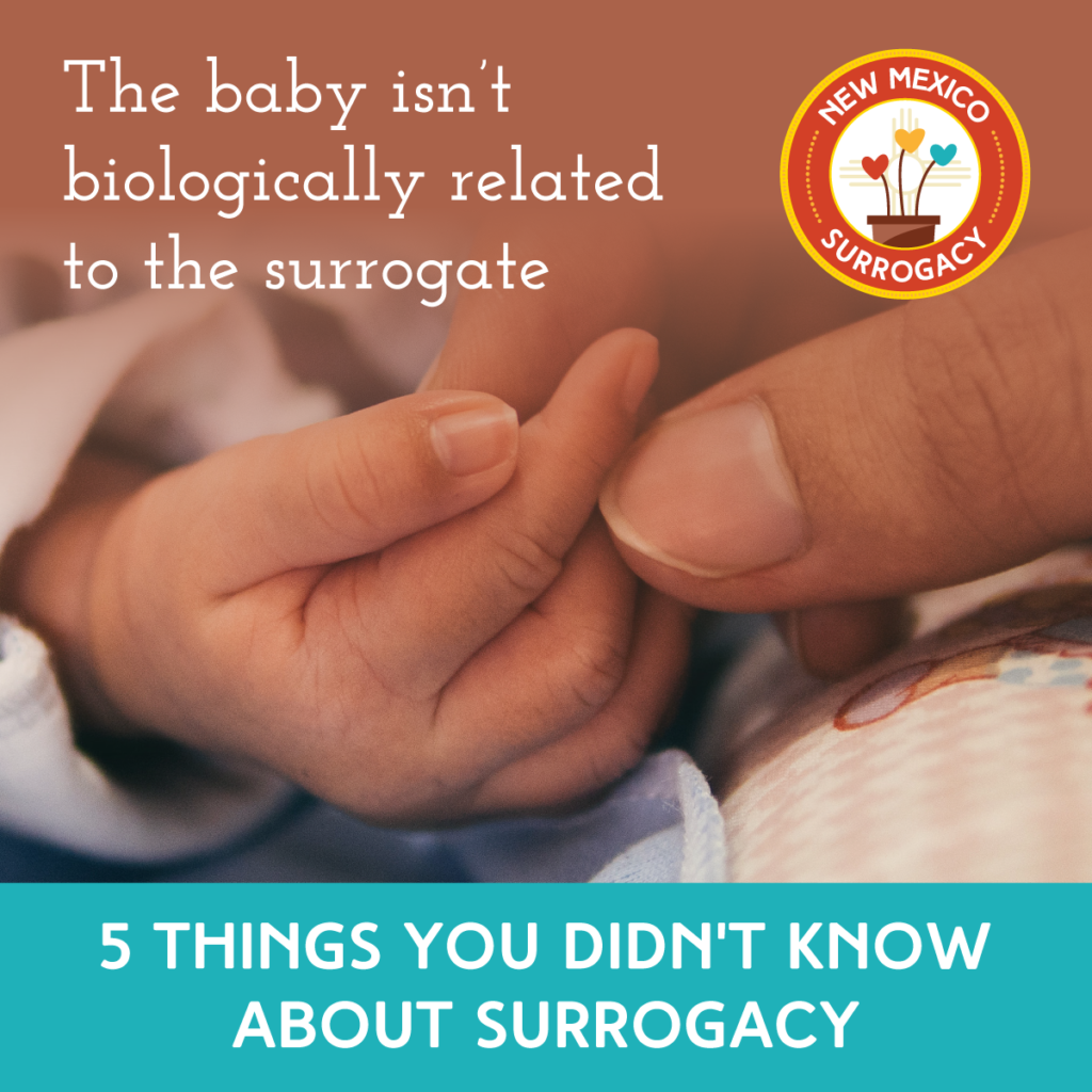 nm surrogacy albuquerque moms blog nm surrogacy albuquerque moms blog