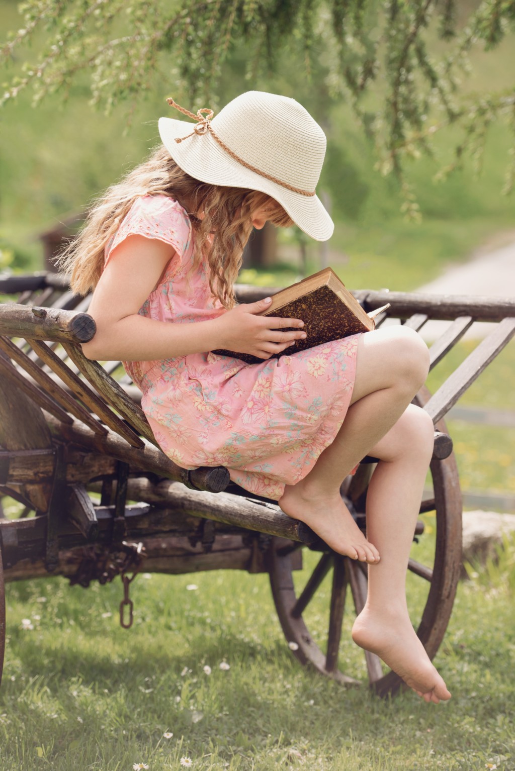 summer reading Albuquerque Moms Blog