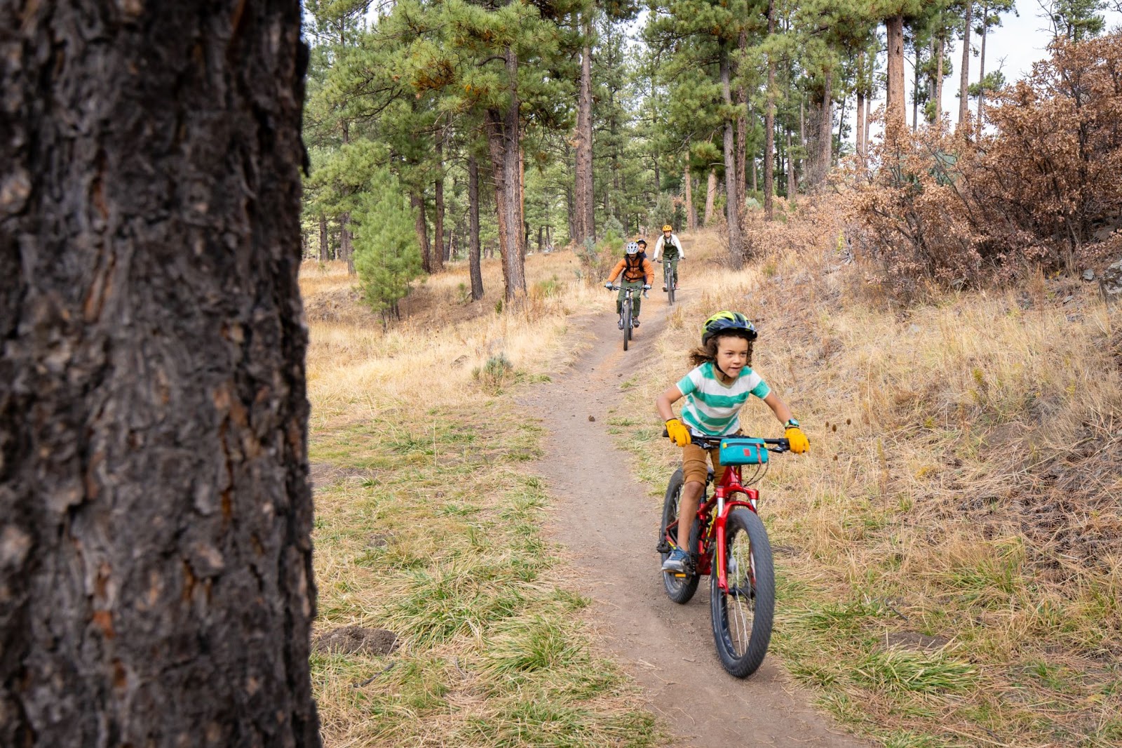 Discover Ruidoso :: 15 Fun, Family Friendly Activities