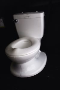Potty Training. Albuquerque Moms Blog.