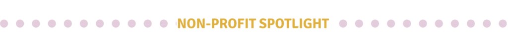 non-profit spotlight