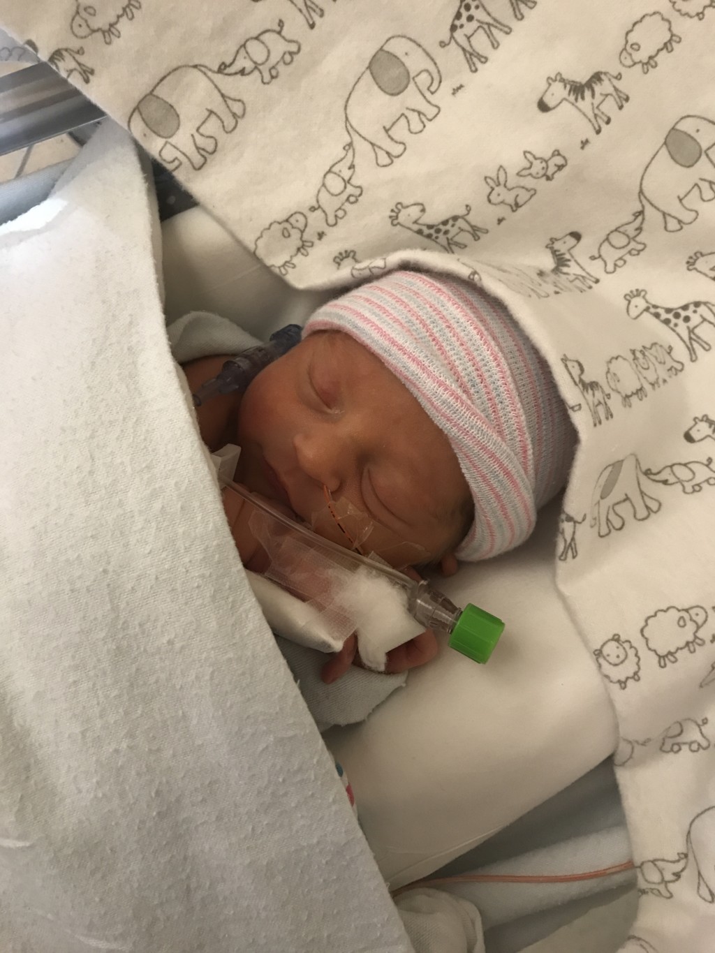 Help NICU Parents from Albuquerque Moms Blog