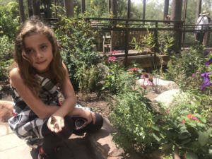 Daughter of Diversity, Albuquerque Mom's Blog Daughter of Diversity, Albuquerque Mom's Blog