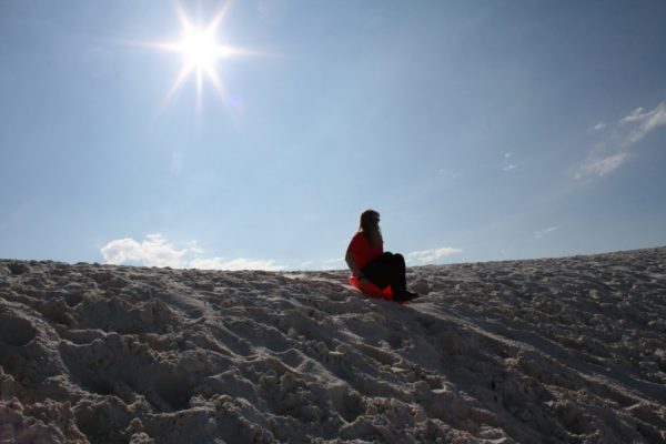 IMG_8103 IMG_8103