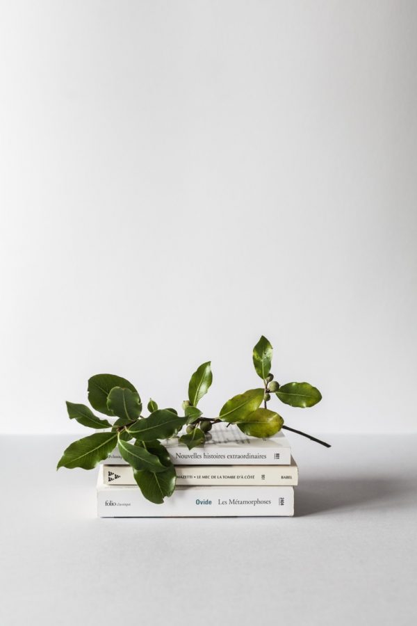 alex-loup-440761-unsplash alex-loup-440761-unsplash
