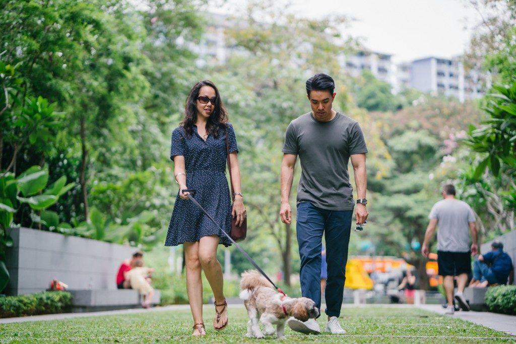 Walk It Out: Five Tips to Get Your Steps In | Albuquerque Moms Blog Walk It Out: Five Tips to Get Your Steps In | Albuquerque Moms Blog