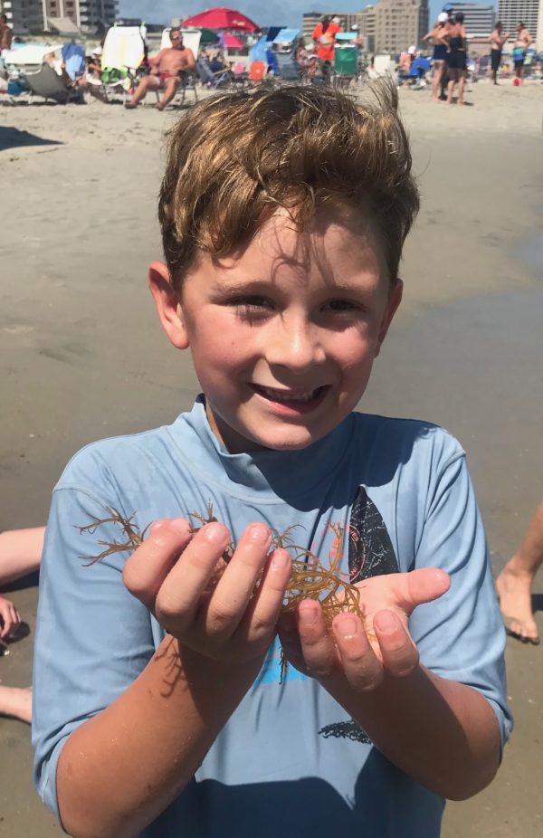 Boy Excited by Ocean Life Albuquerque Mom's Blog Boy Excited by Ocean Life Albuquerque Mom's Blog