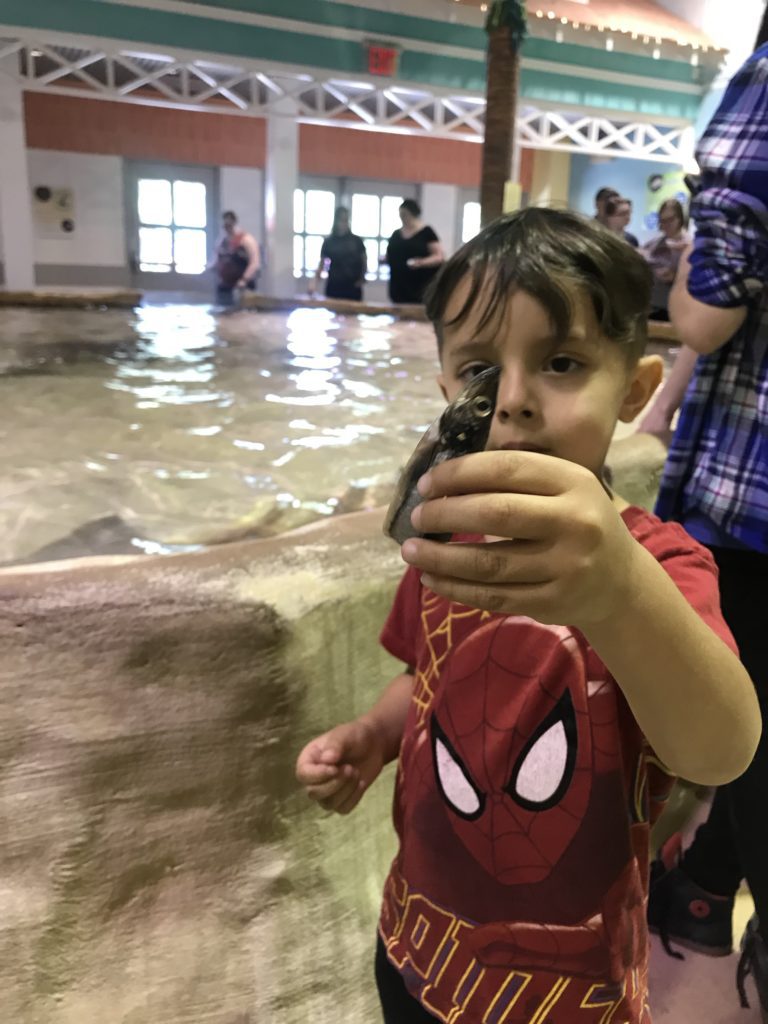 Boy with fish