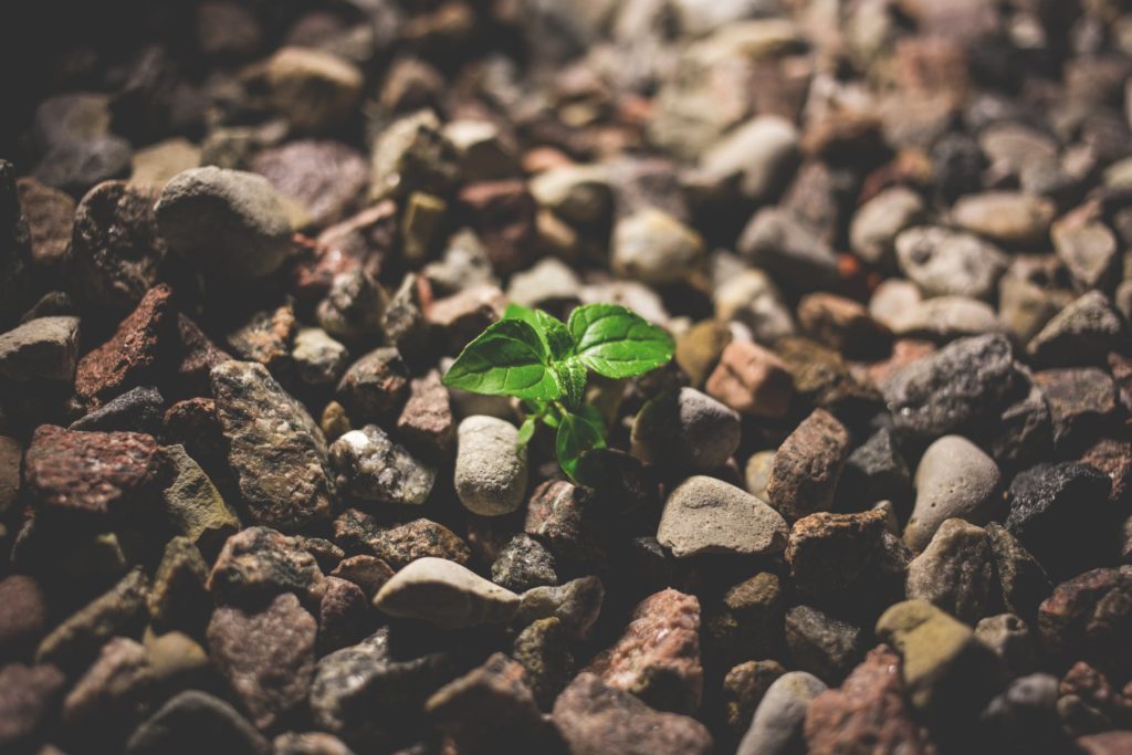 Mama, Don't Settle with Surviving