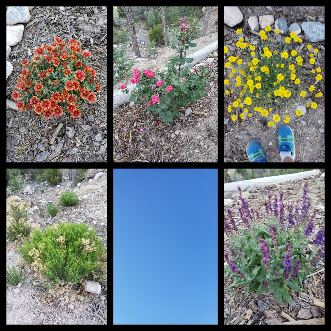scavenger hunt outdoors, Albuquerque Moms Blog
