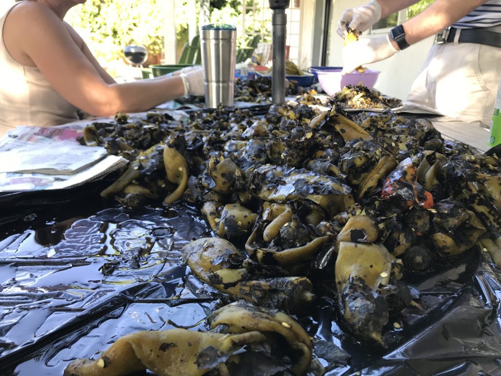 New Mexico green chile
