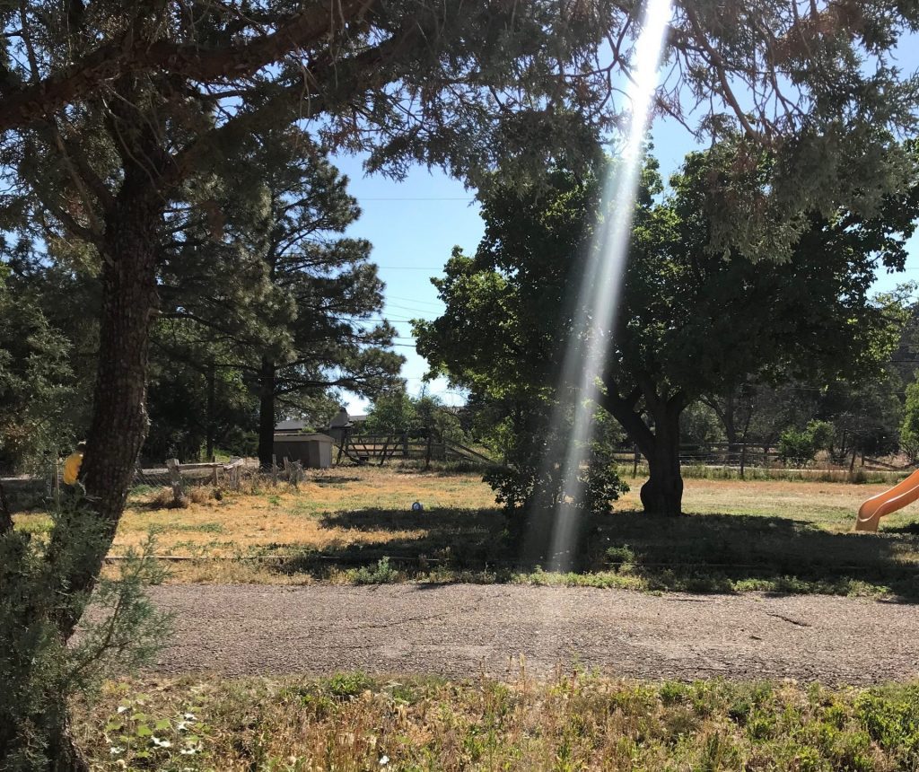 Sunbeam