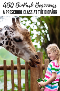 ABQ BioPark Beginnings, preschool class