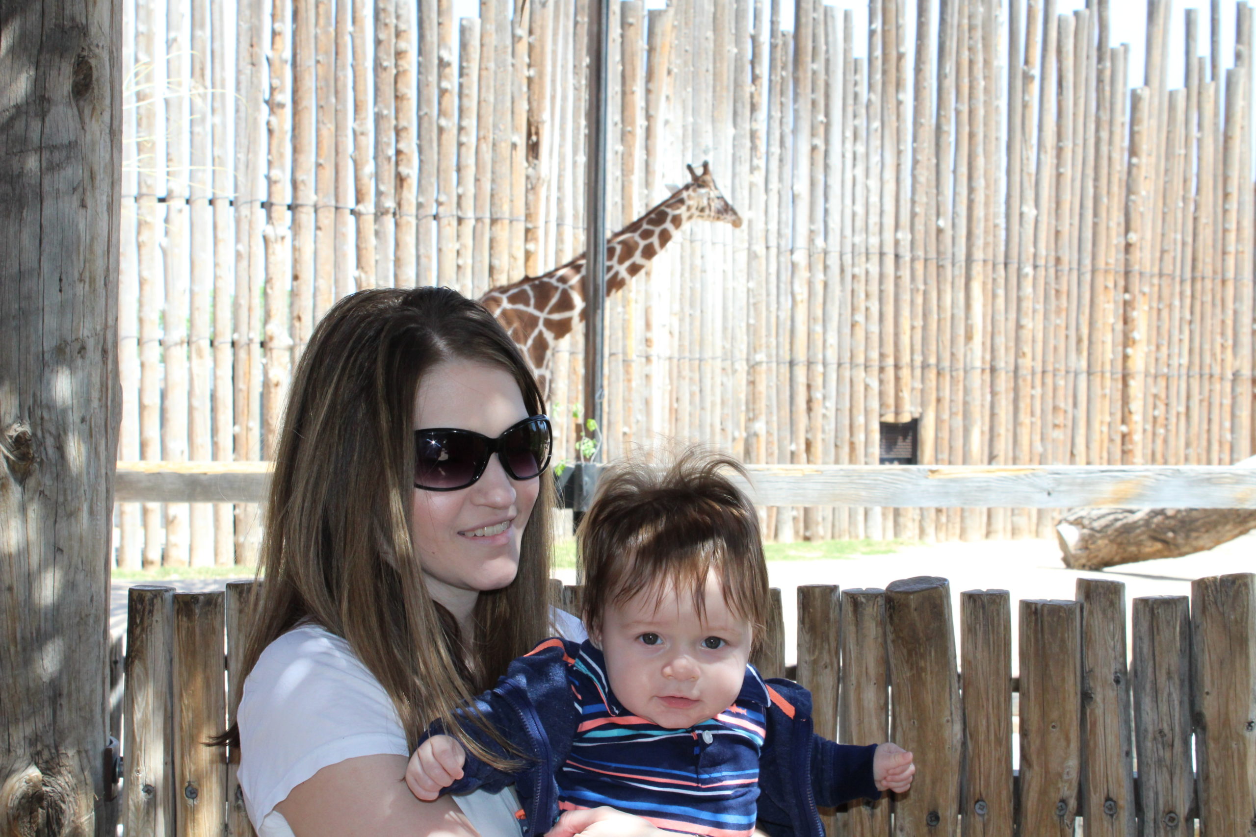 Albuquerque Moms Blog - struggle