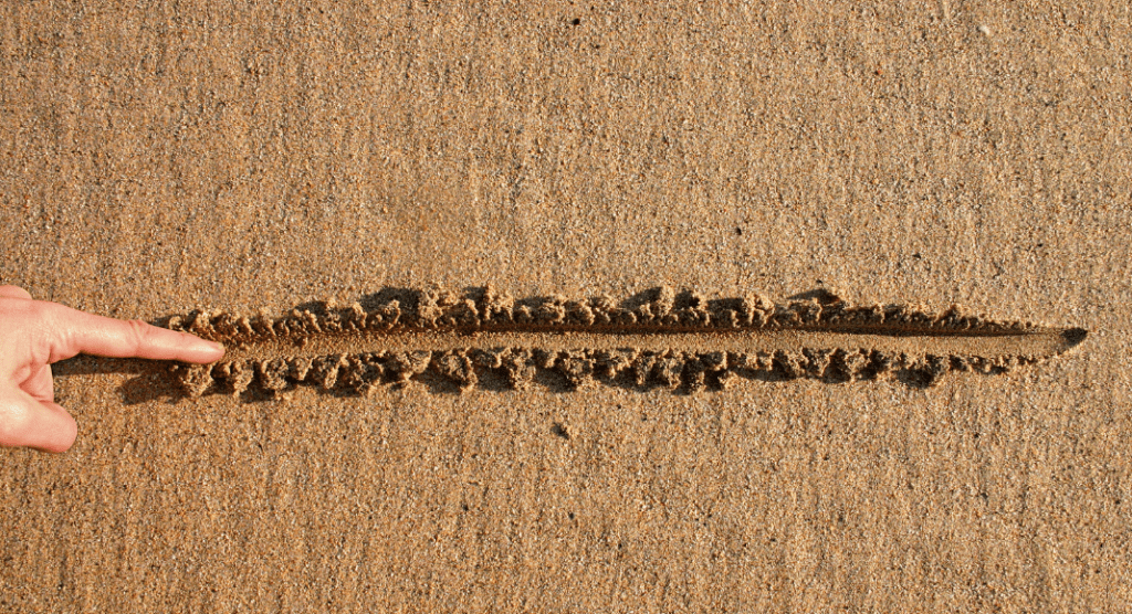 dividing lines