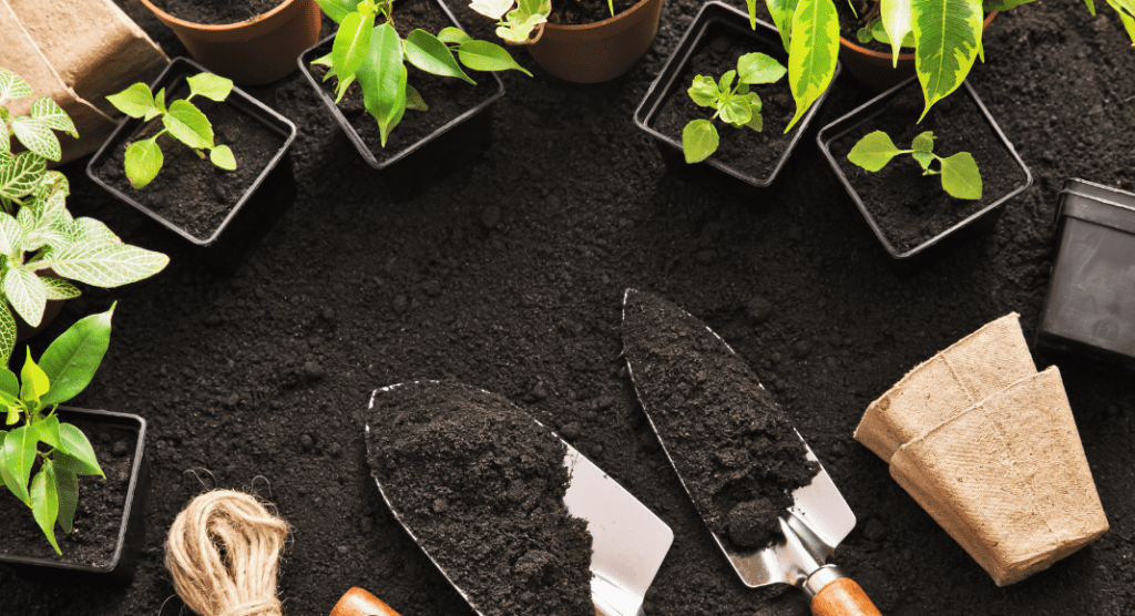 tips for garden, Albuquerque