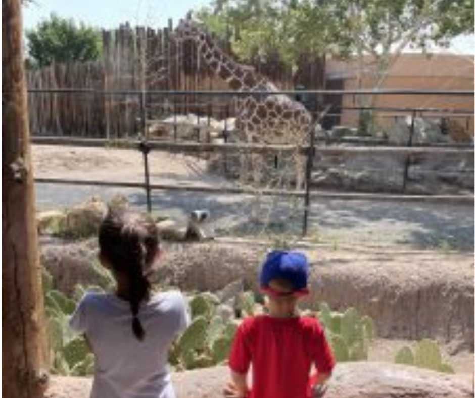 Impress Your Family with These Fun Animal Facts on Your Next Zoo Trip!