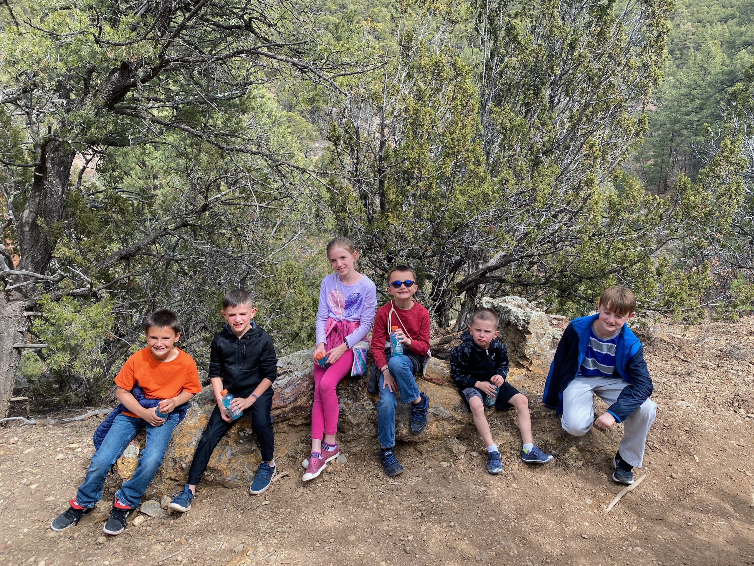 A Guide for the East Mountain Newbie