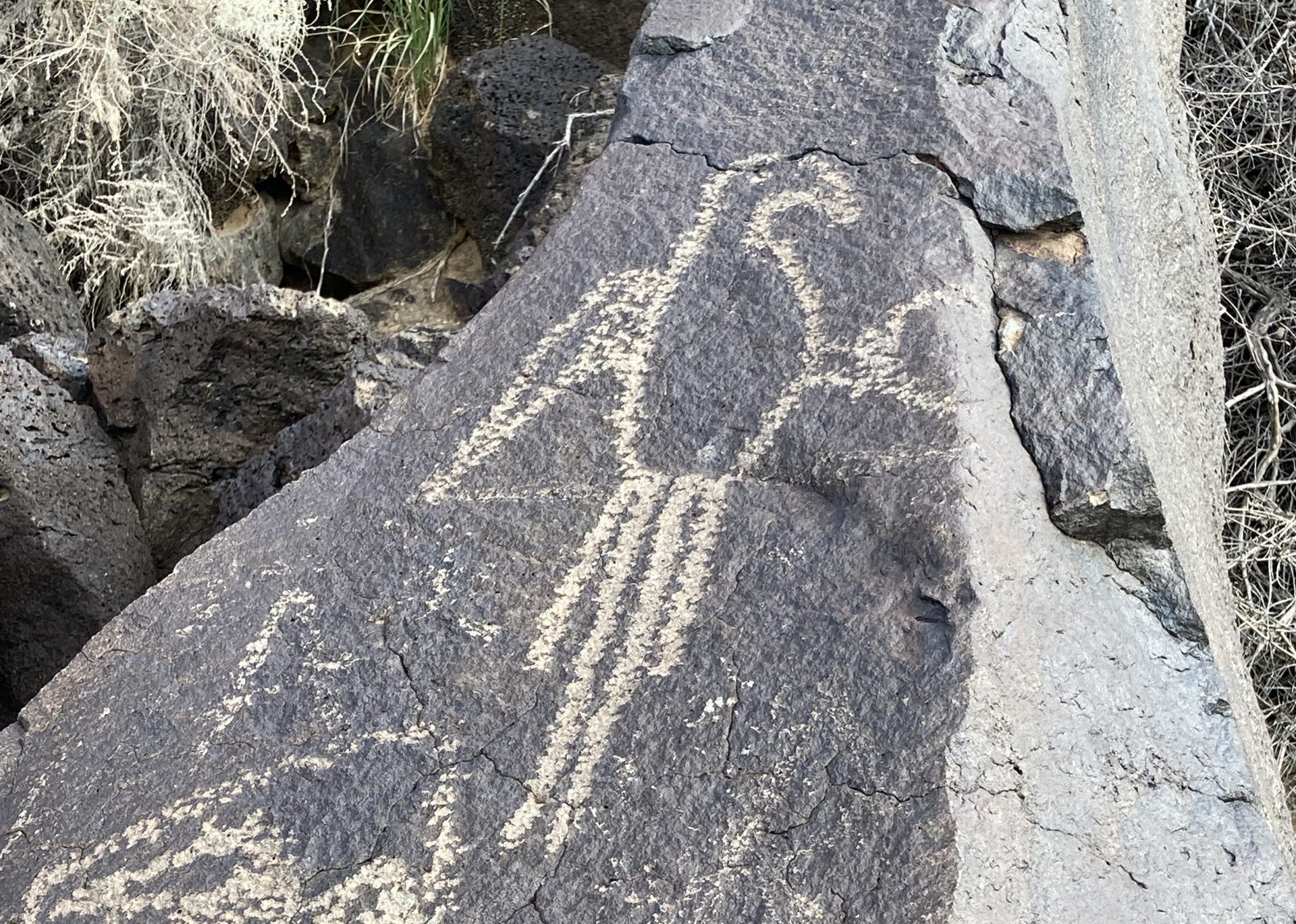 Exploring Boca Negra Canyon: A Family Friendly Trail Exploring Boca Negra Canyon: A Family Friendly Trail