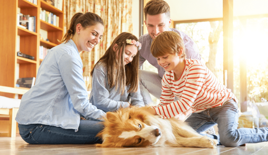How to Train a Great Family Dog in 10 Minutes a Day
