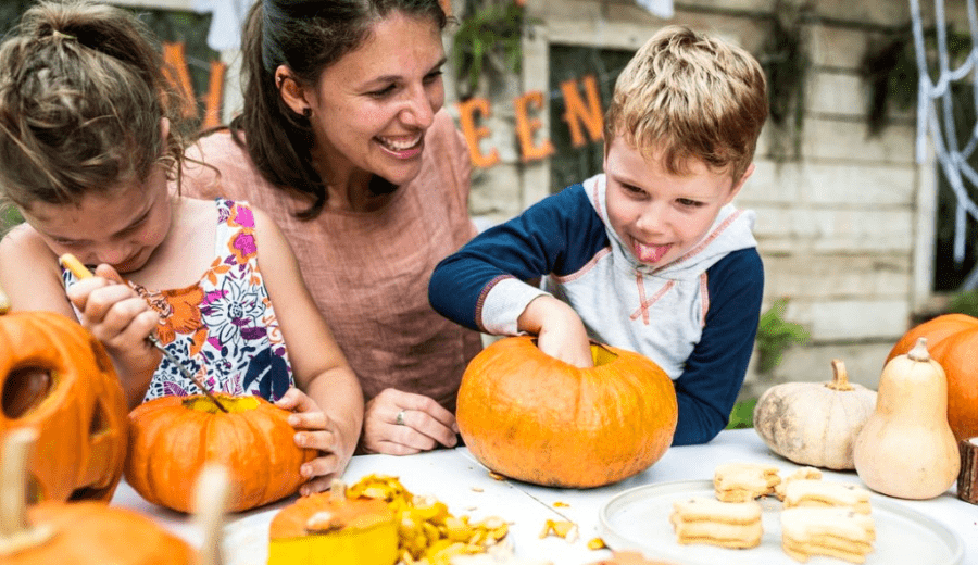 5 Ways to Recycle Your Halloween Pumpkins for Wildlife