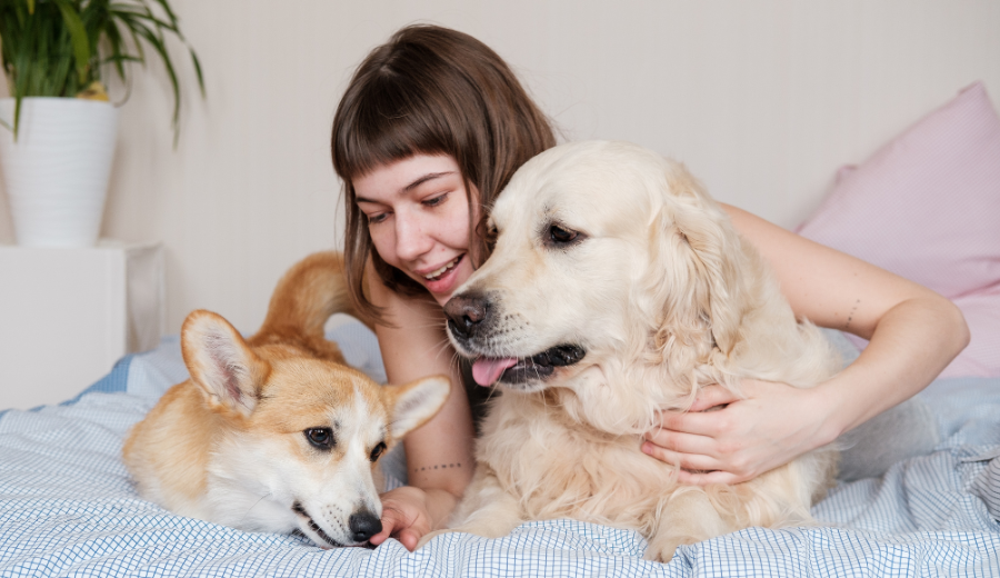 My Dogs Were My Children Until I Had a Baby