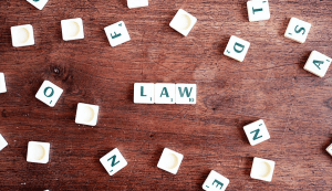 Law & Order :: Tips for Getting a Bill Passed in New Mexico