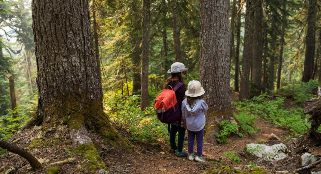 Toddlers & Fires & Bears? Oh my! Weekend Camping with Littles