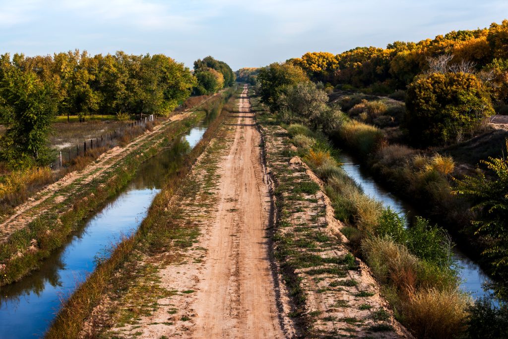 Moving Guide: North Valley and Los Ranchos de Albuquerque