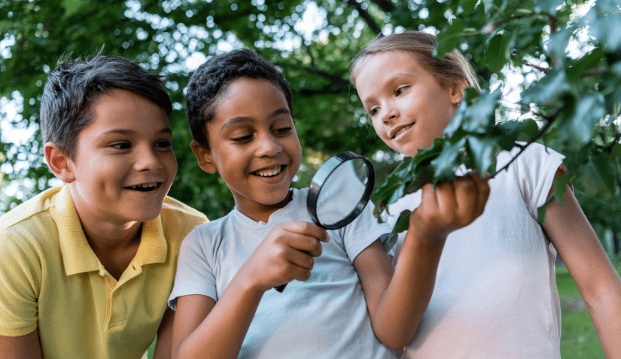 5 Nature Scavenger Hunts You Can Do Today!
