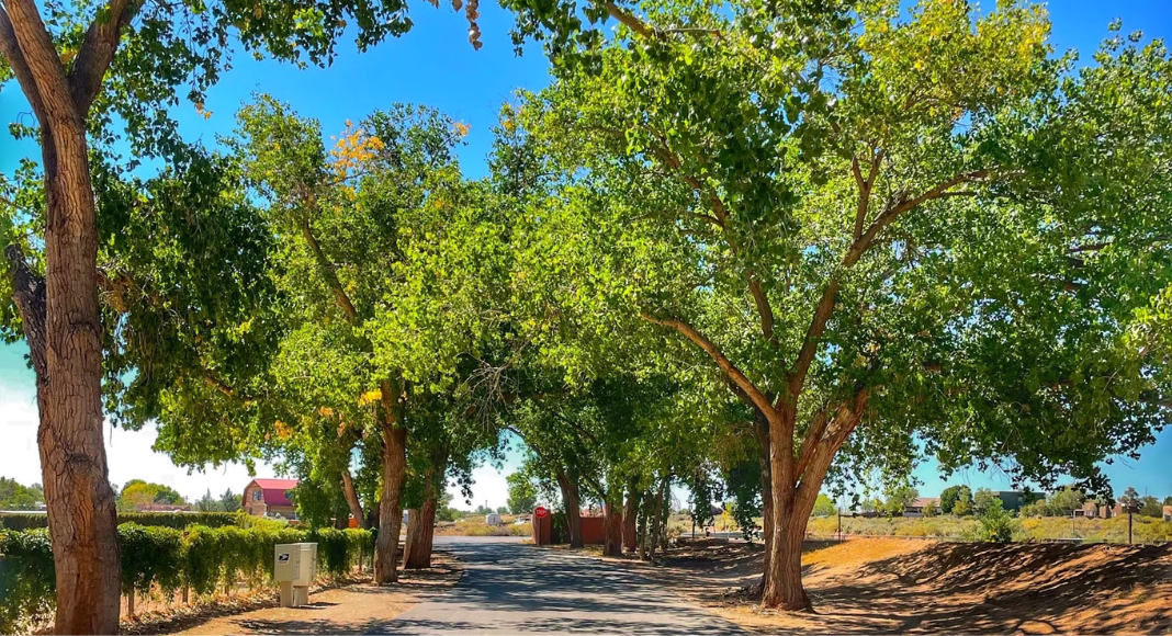 Albuquerque Moving Guide: Corrales