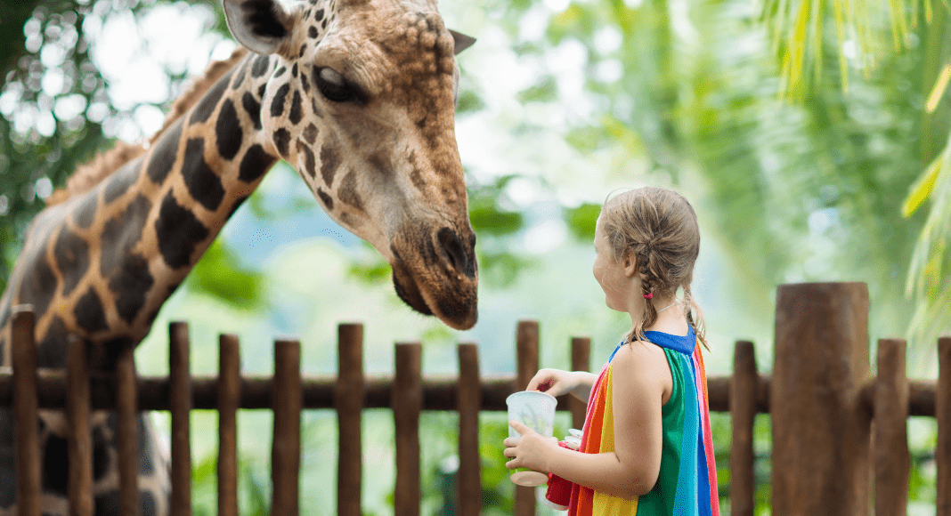 Guide to Experiential Gift Giving